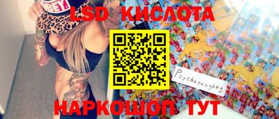 apvp Кингисепп