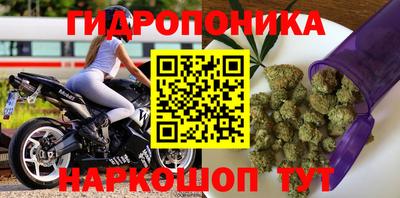 apvp Кингисепп