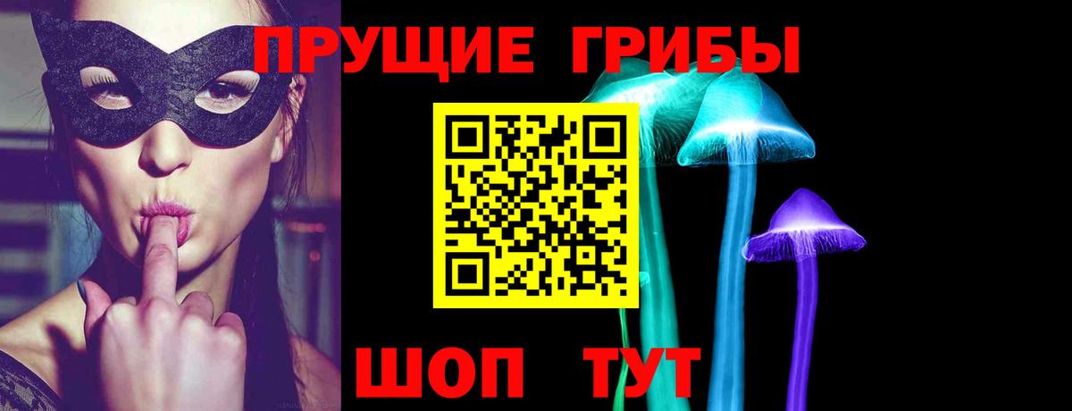 купить   Галлюциногенные грибы MAGIC MUSHROOMS  Вход с VPN  Камышлов  Галлюциногенные грибы мицелий 