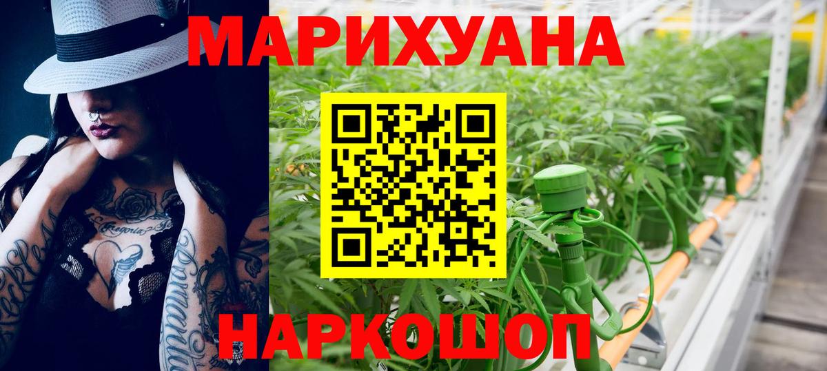 Каннабис OG Kush Камышлов